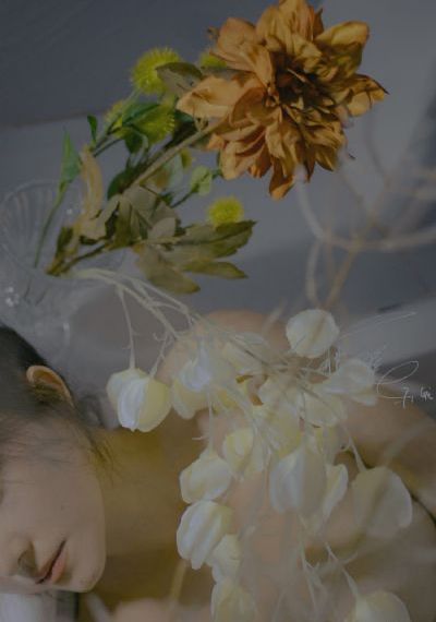 佐藤美纪在线_超清高清视频观看